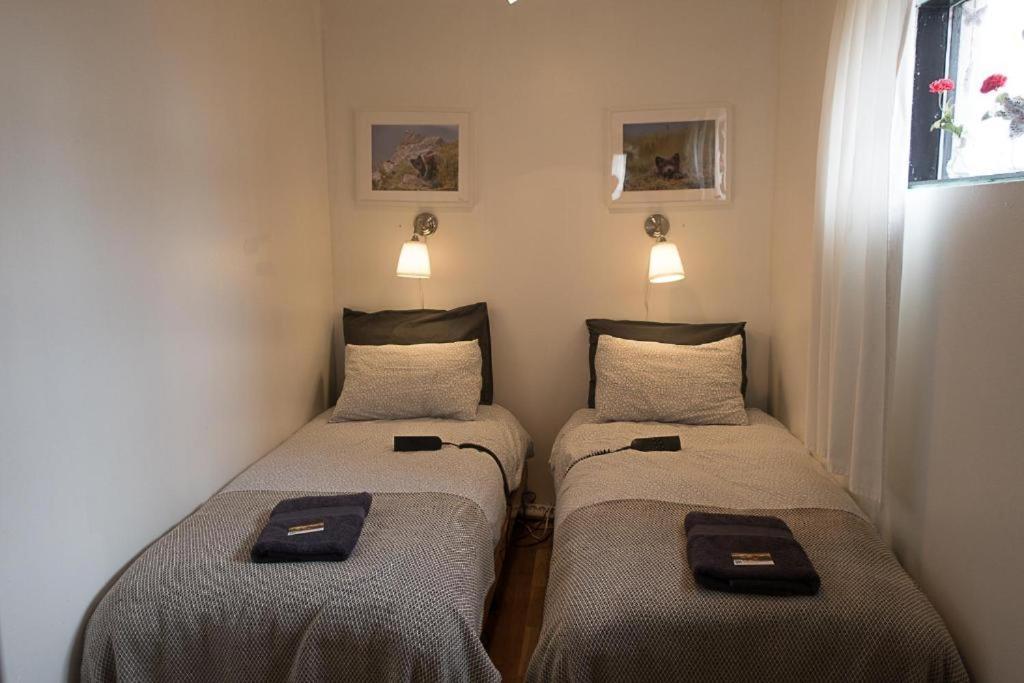 Sudavik Guesthouse Súðavík 外观 照片